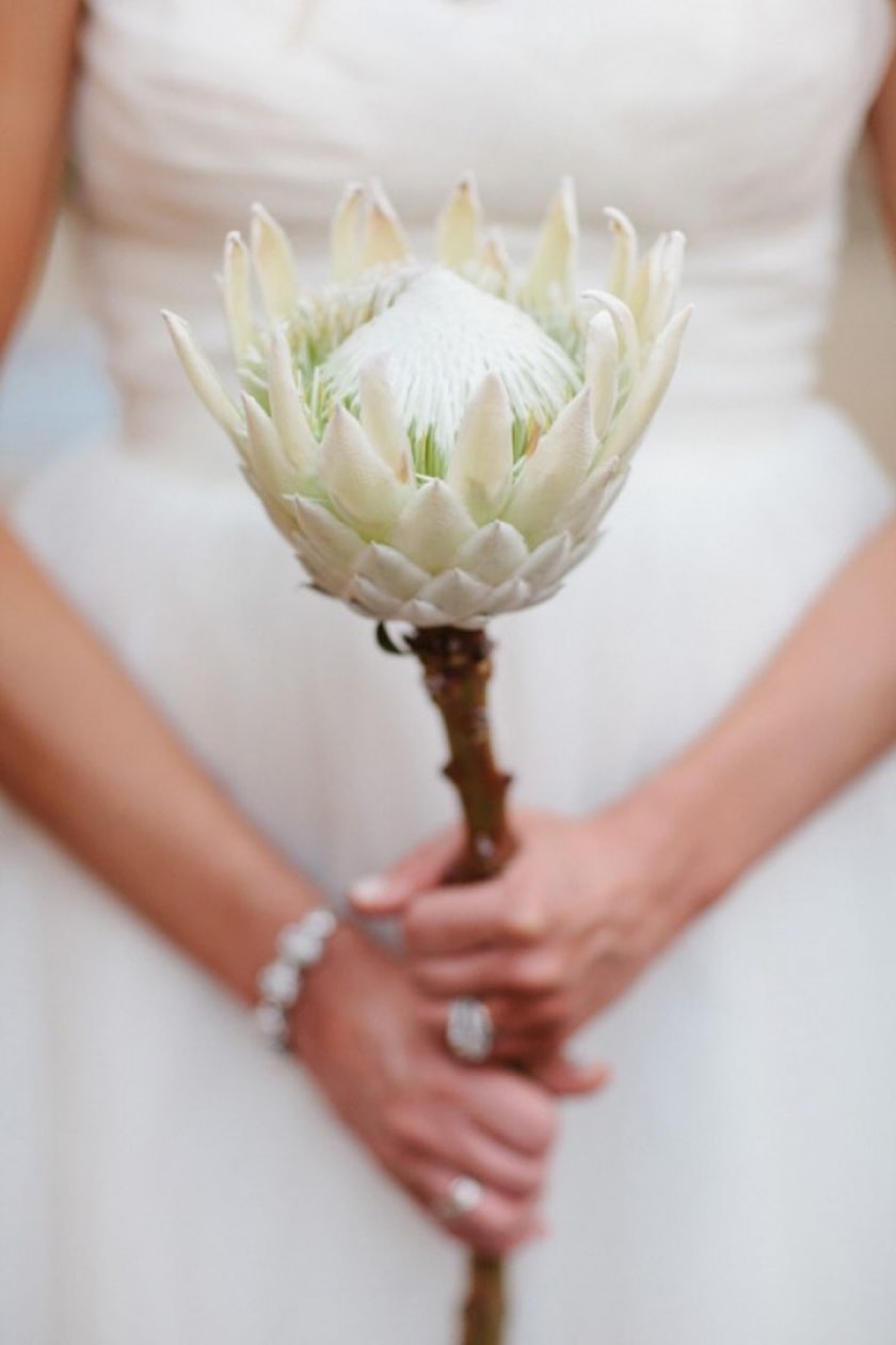 Tendência: buquê de noiva com uma única flor | Casar.com